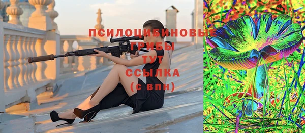 хмурый Осташков