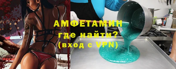 индика Осинники