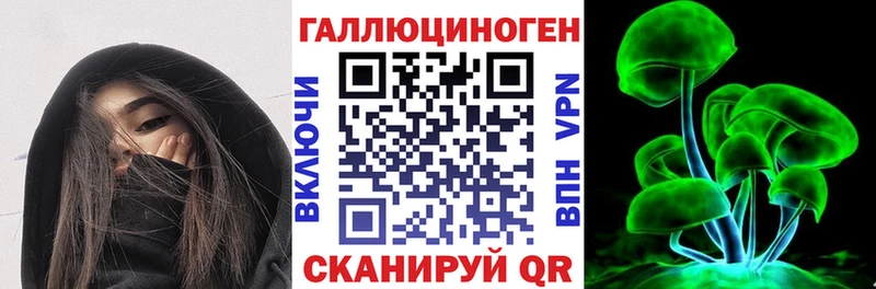 Галлюциногенные грибы Psilocybe Купить Усть-Илимск
